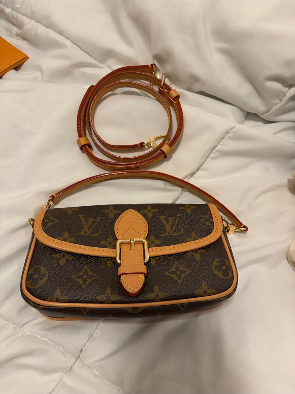 Louis Vuitton Monogram Nano Diane